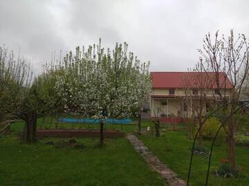 Фотографии Отели типа «постель и завтрак» Garden house г. Алматы (Казахстан) №1 Фото Отели типа «постель и завтрак» Garden house г. Алматы 1