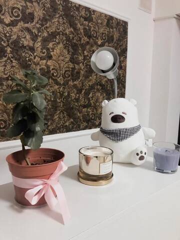 Фотографии Хостелы White Hostel Almaty г. Алматы (Казахстан) №3 Фото Хостелы White Hostel Almaty г. Алматы 3