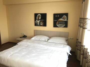 Фото номера Бюджетный двухместный номер с 1 кроватью Отель Altai Business Hotel г. Алматы 5