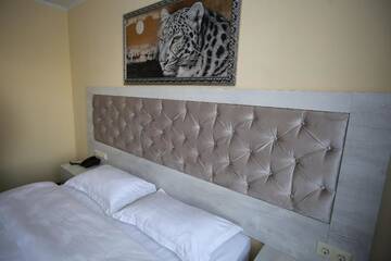 Фото номера Люкс с 1 спальней Отель Altai Business Hotel г. Алматы 8