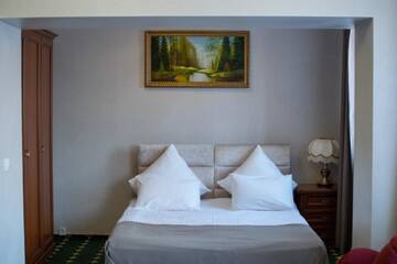 Фото номера Люкс Отель Hotel Saya г. Алматы 2