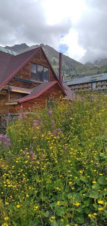 Фото номера Двухместный номер с 1 кроватью и балконом Хостелы Hostel SHYMBULAK г. Алматы 3