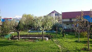 Фото номера Бюджетный двухместный номер с 1 кроватью Отели типа «постель и завтрак» Garden house г. Алматы 8