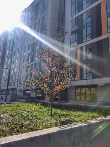 Фото номера Апартаменты с 1 спальней Апартаменты AsHome Apartments г. Алматы 16