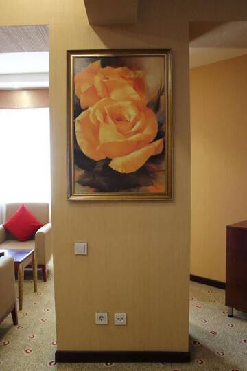 Фото номера Люкс Отель Grand Aiser Hotel г. Алматы 11