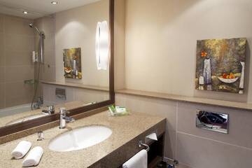 Фото номера Стандартный двухместный номер с 1 кроватью Отель Holiday Inn Almaty г. Алматы 4